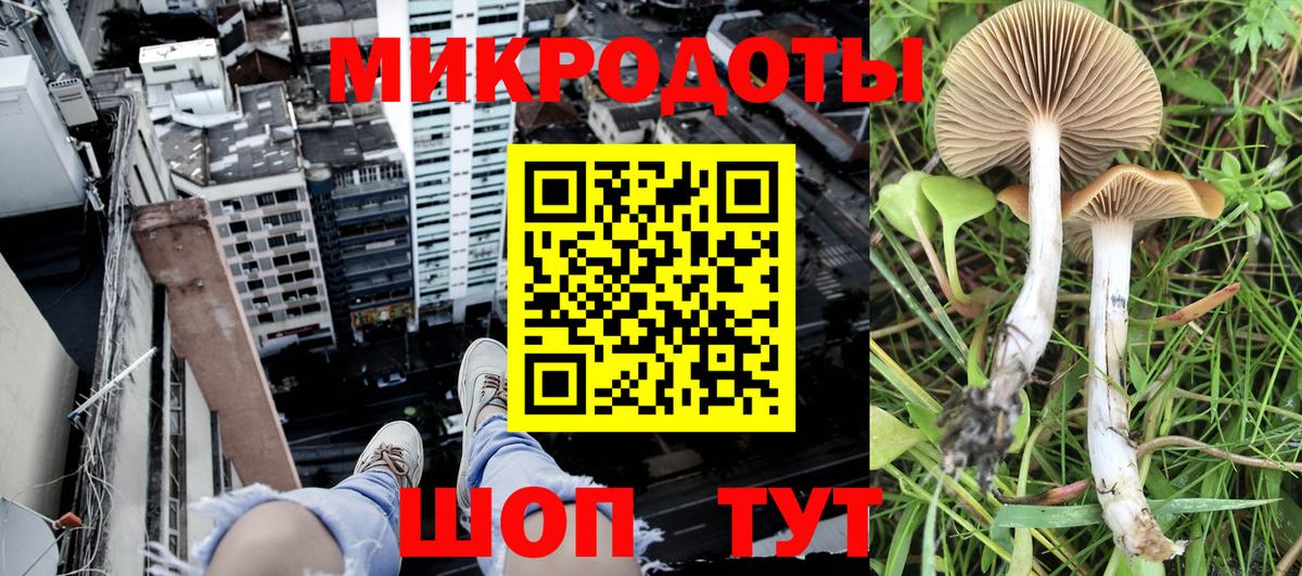 Псилоцибиновые грибы MAGIC MUSHROOMS Белорецк