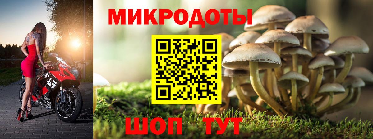 Галлюциногенные грибы Cubensis  Вход с VPN  Белорецк 